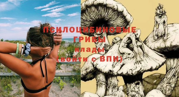героин Алзамай